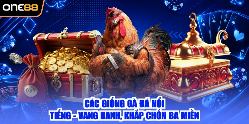 Các Giống Gà Đá Nổi Tiếng - Vang Danh, Khắp Chốn Ba Miền
